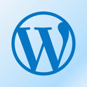 Servicio de mantenimiento web wordpress - Servei de manteniment web wordpress